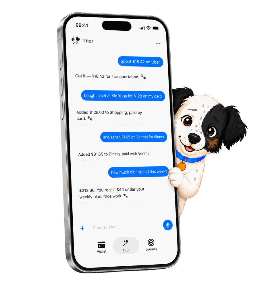 Thor chat screen logging expenses by message