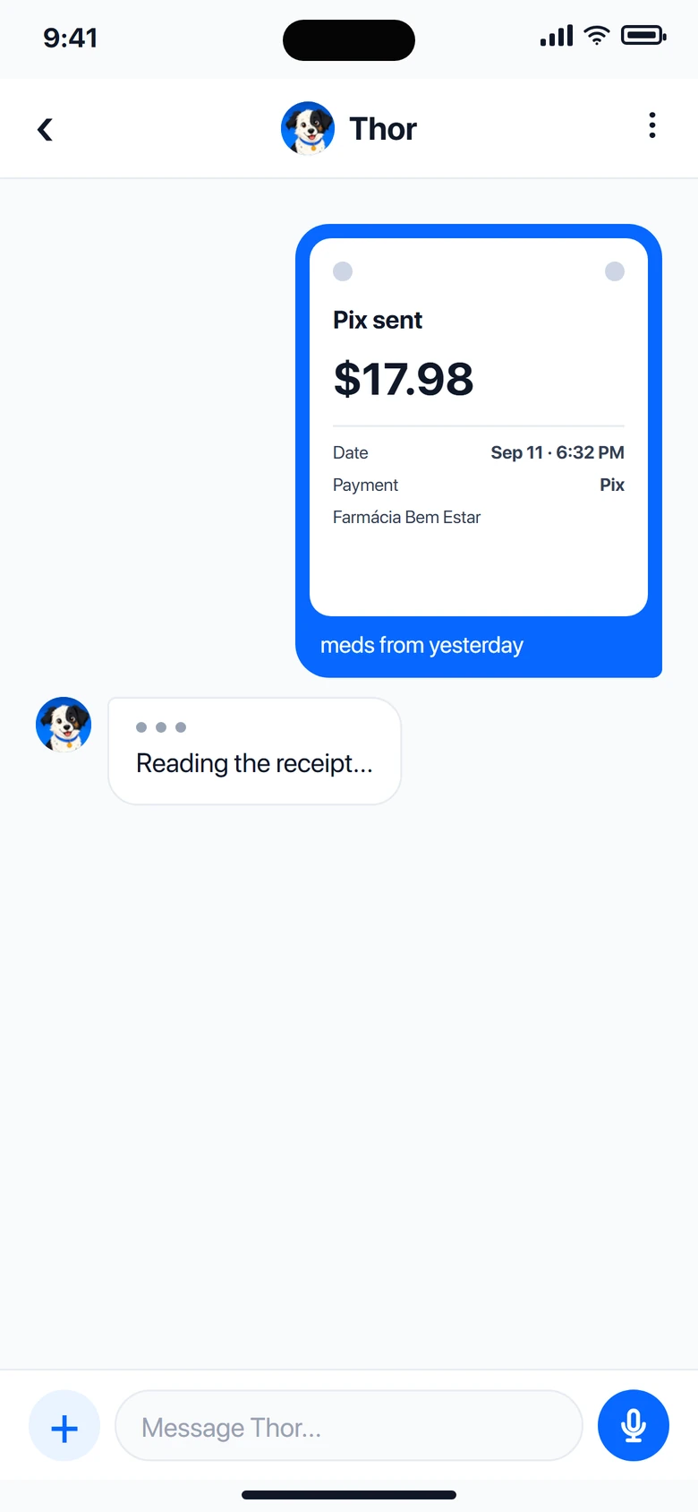 Thor chat with a photo of a transfer receipt